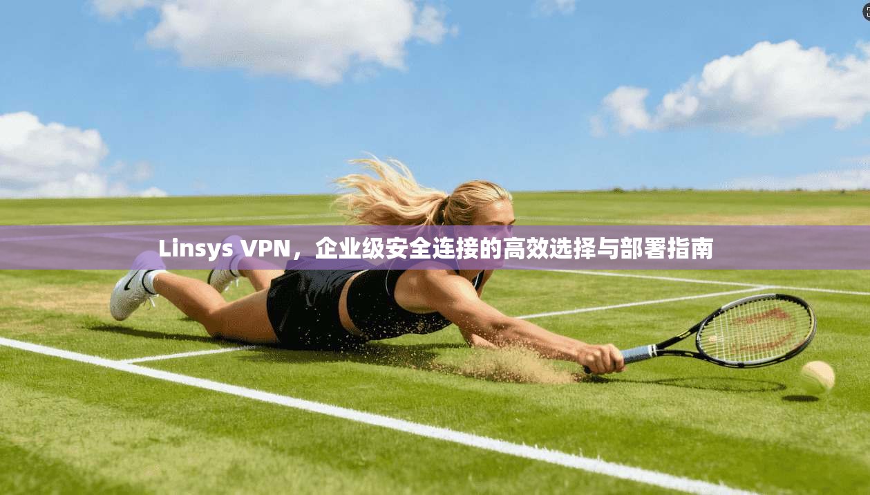 Linsys VPN，企业级安全连接的高效选择与部署指南