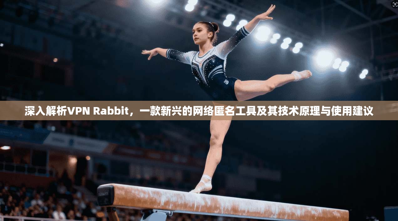 深入解析VPN Rabbit，一款新兴的网络匿名工具及其技术原理与使用建议
