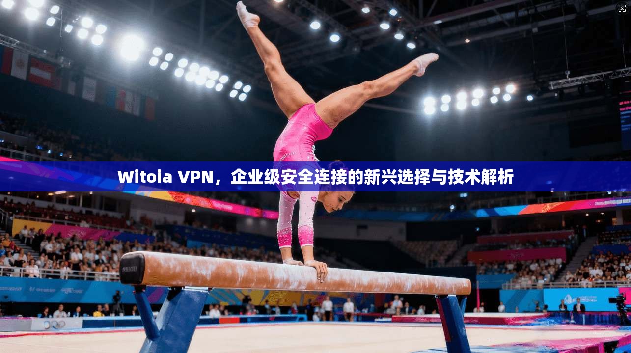 Witoia VPN，企业级安全连接的新兴选择与技术解析