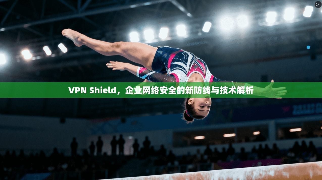 VPN Shield,企业网络安全的新防线与技术解析 VPN Shield,企业网络安全的新防线与技术解析