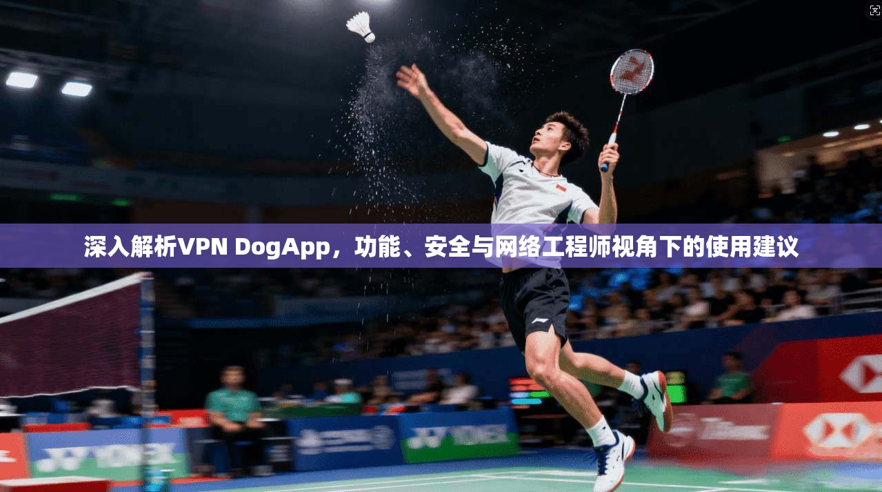 深入解析VPN DogApp，功能、安全与网络工程师视角下的使用建议