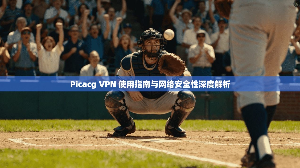 Picacg VPN 使用指南与网络安全性深度解析