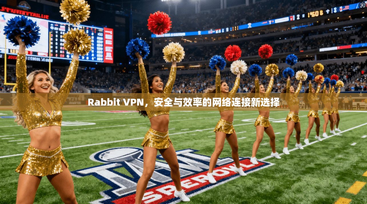 Rabbit VPN，安全与效率的网络连接新选择