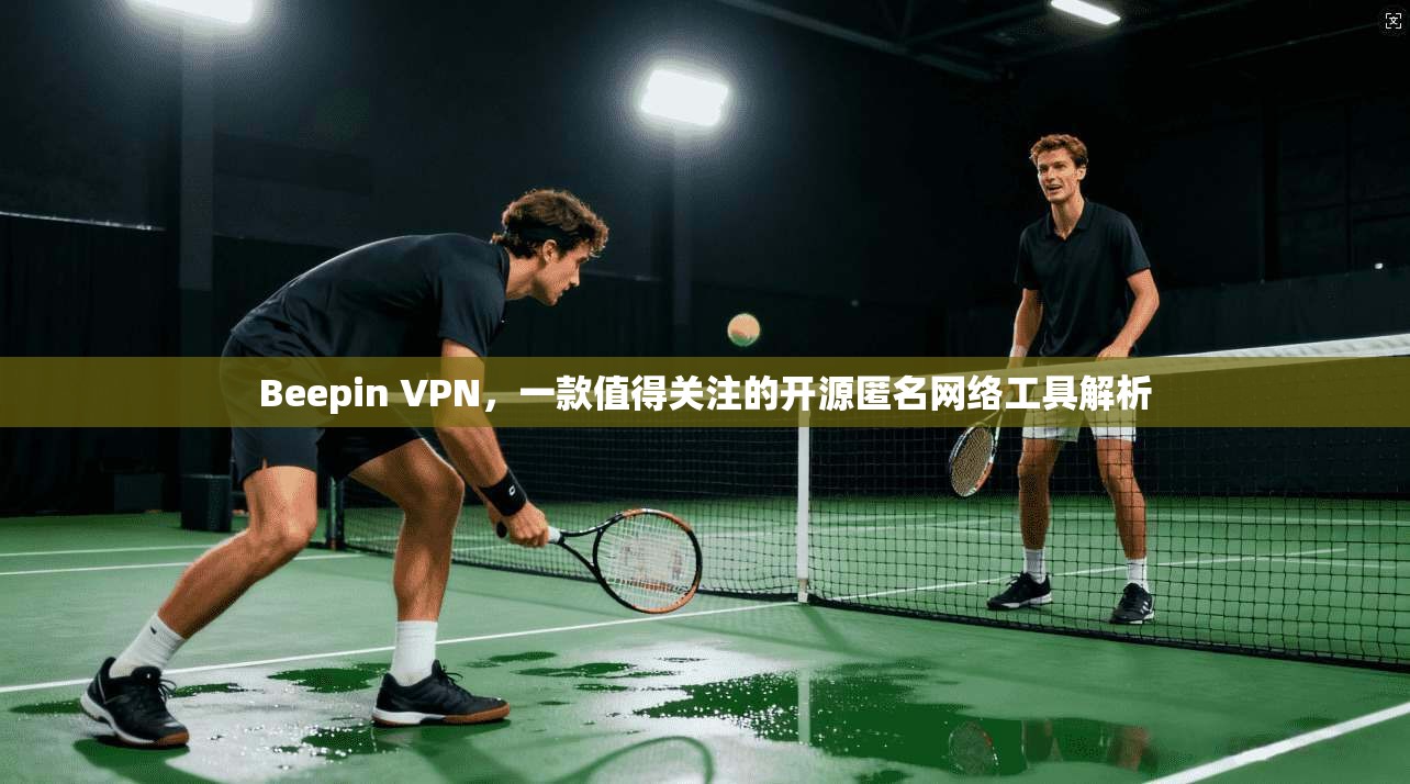 Beepin VPN，一款值得关注的开源匿名网络工具解析