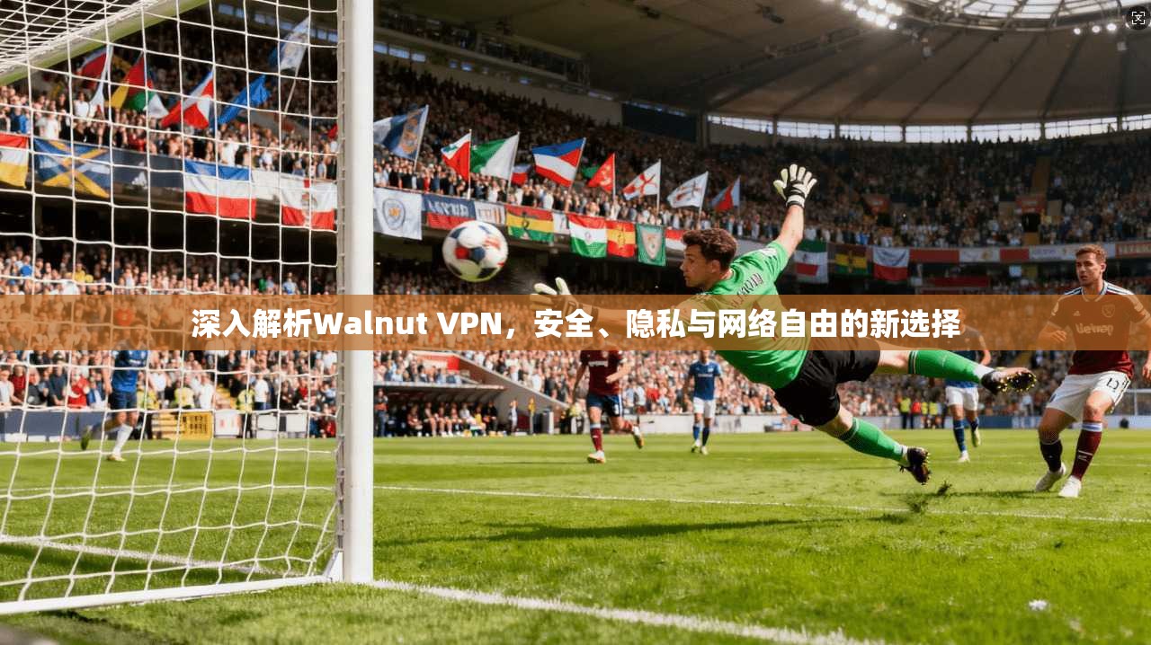 深入解析Walnut VPN，安全、隐私与网络自由的新选择
