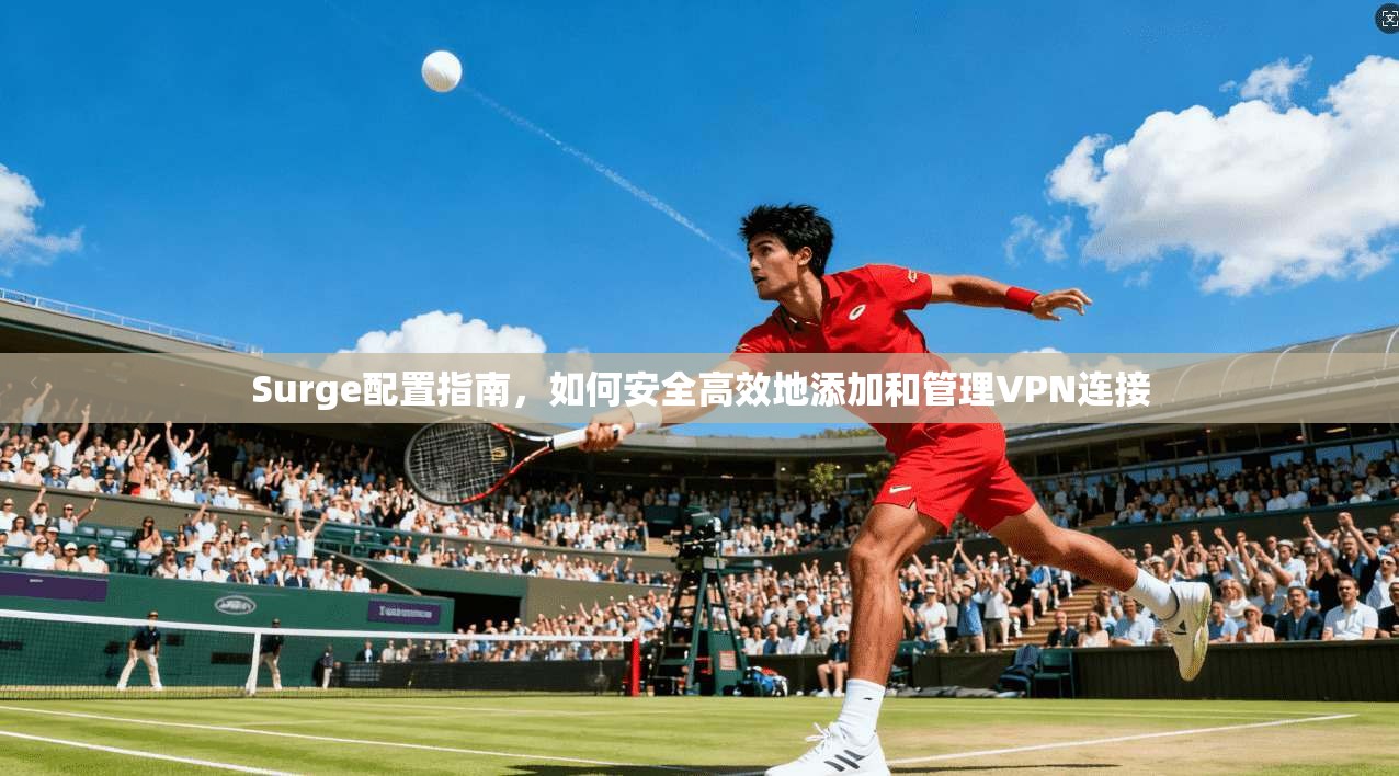 Surge配置指南，如何安全高效地添加和管理VPN连接