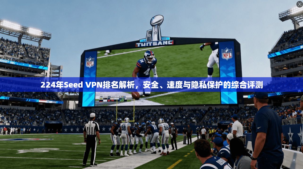 224年Seed VPN排名解析，安全、速度与隐私保护的综合评测