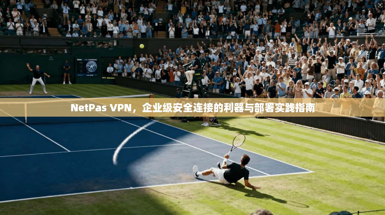 NetPas VPN，企业级安全连接的利器与部署实践指南