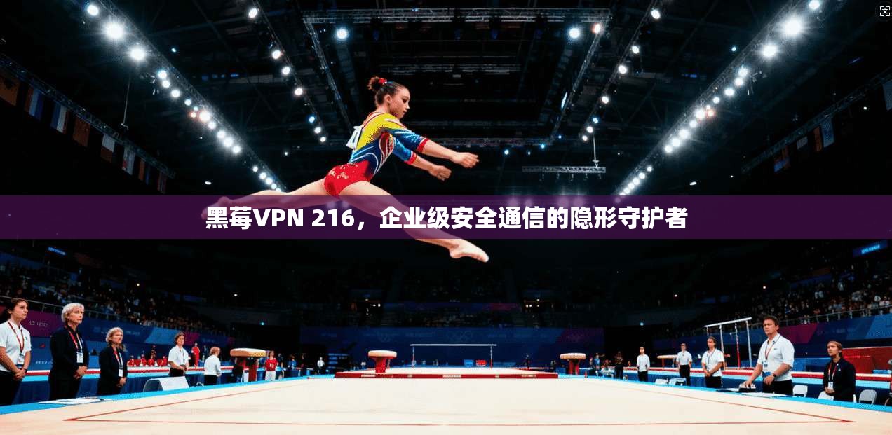 黑莓VPN 216，企业级安全通信的隐形守护者