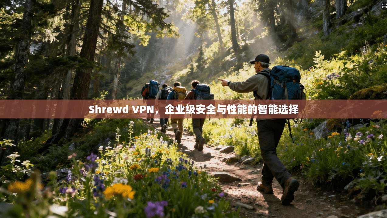 Shrewd VPN，企业级安全与性能的智能选择