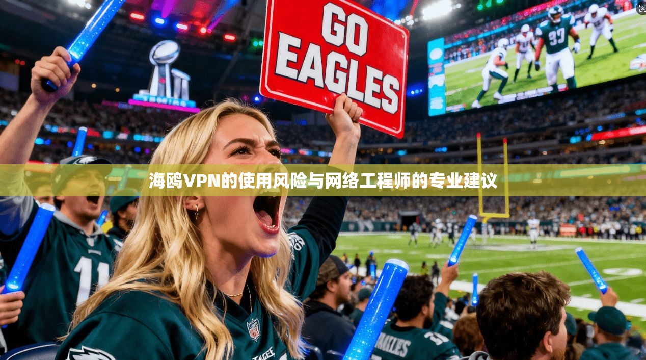 海鸥VPN的使用风险与网络工程师的专业建议