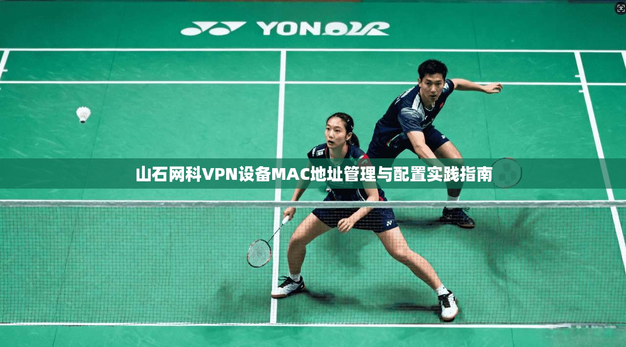 山石网科VPN设备MAC地址管理与配置实践指南