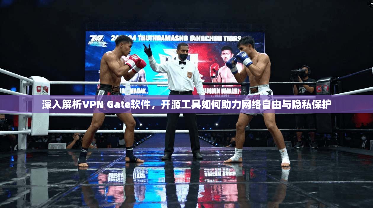 深入解析VPN Gate软件，开源工具如何助力网络自由与隐私保护