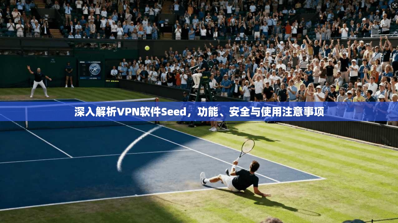 深入解析VPN软件Seed，功能、安全与使用注意事项