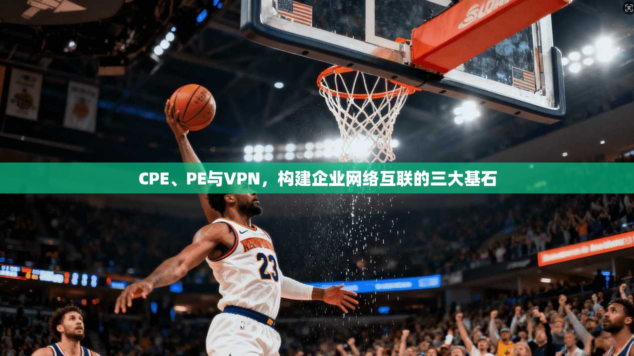 CPE、PE与VPN，构建企业网络互联的三大基石