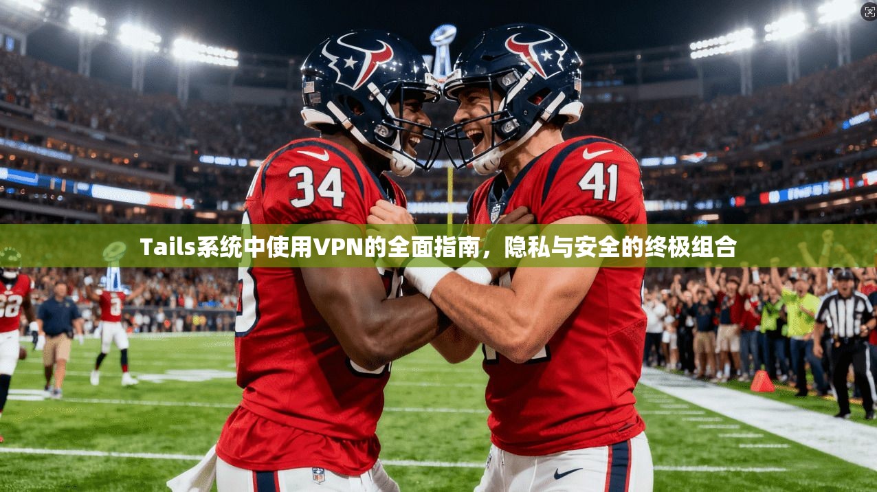 Tails系统中使用VPN的全面指南，隐私与安全的终极组合