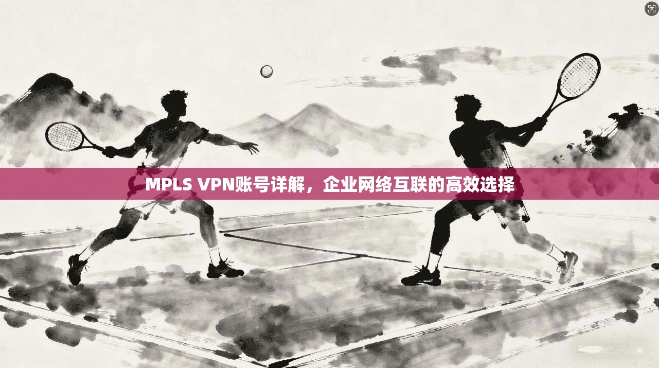 MPLS VPN账号详解，企业网络互联的高效选择
