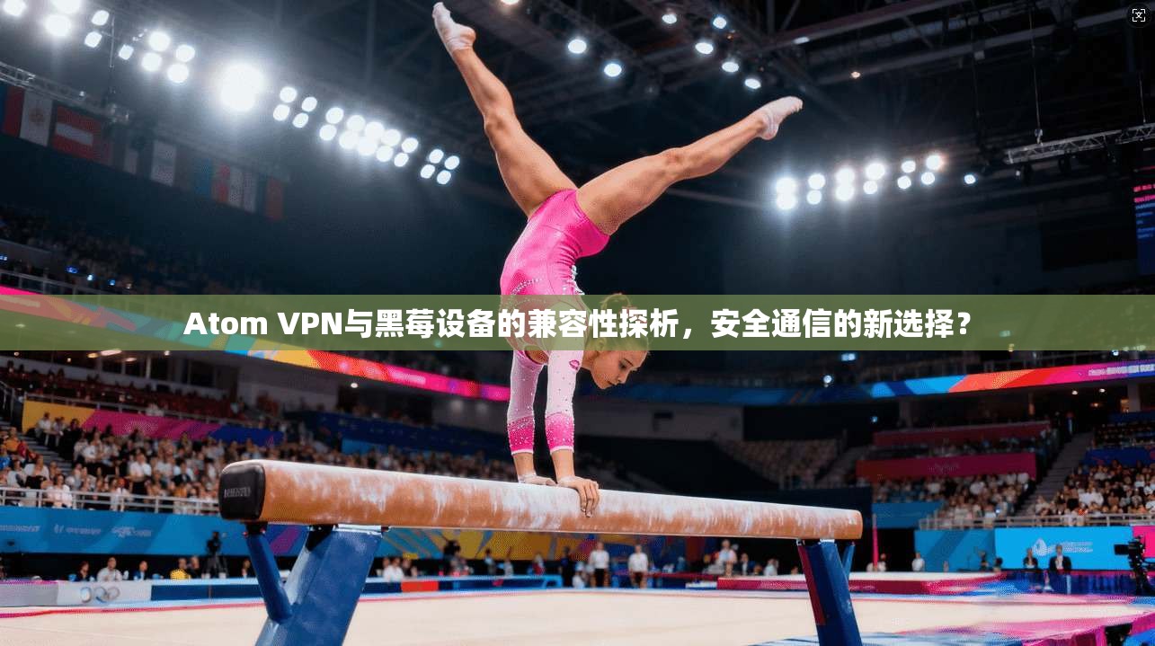 Atom VPN与黑莓设备的兼容性探析，安全通信的新选择？