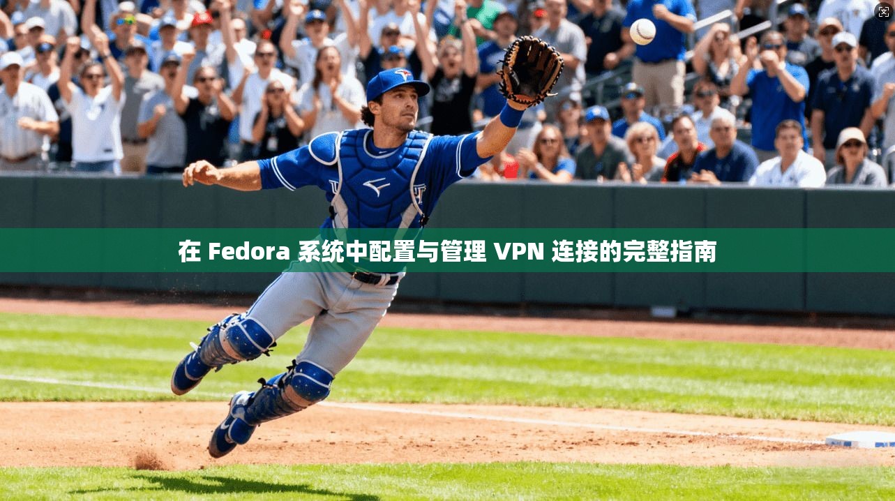 在 Fedora 系统中配置与管理 VPN 连接的完整指南 在 Fedora 系统中配置与管理 VPN 连接的完整指南