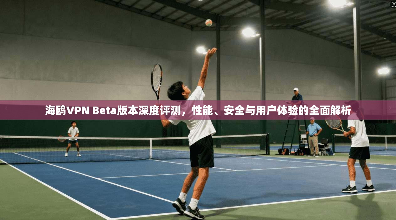 海鸥VPN Beta版本深度评测，性能、安全与用户体验的全面解析