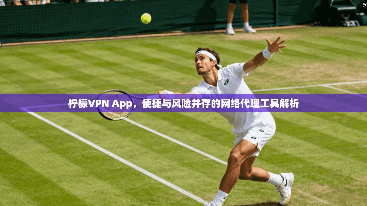 柠檬VPN App，便捷与风险并存的网络代理工具解析