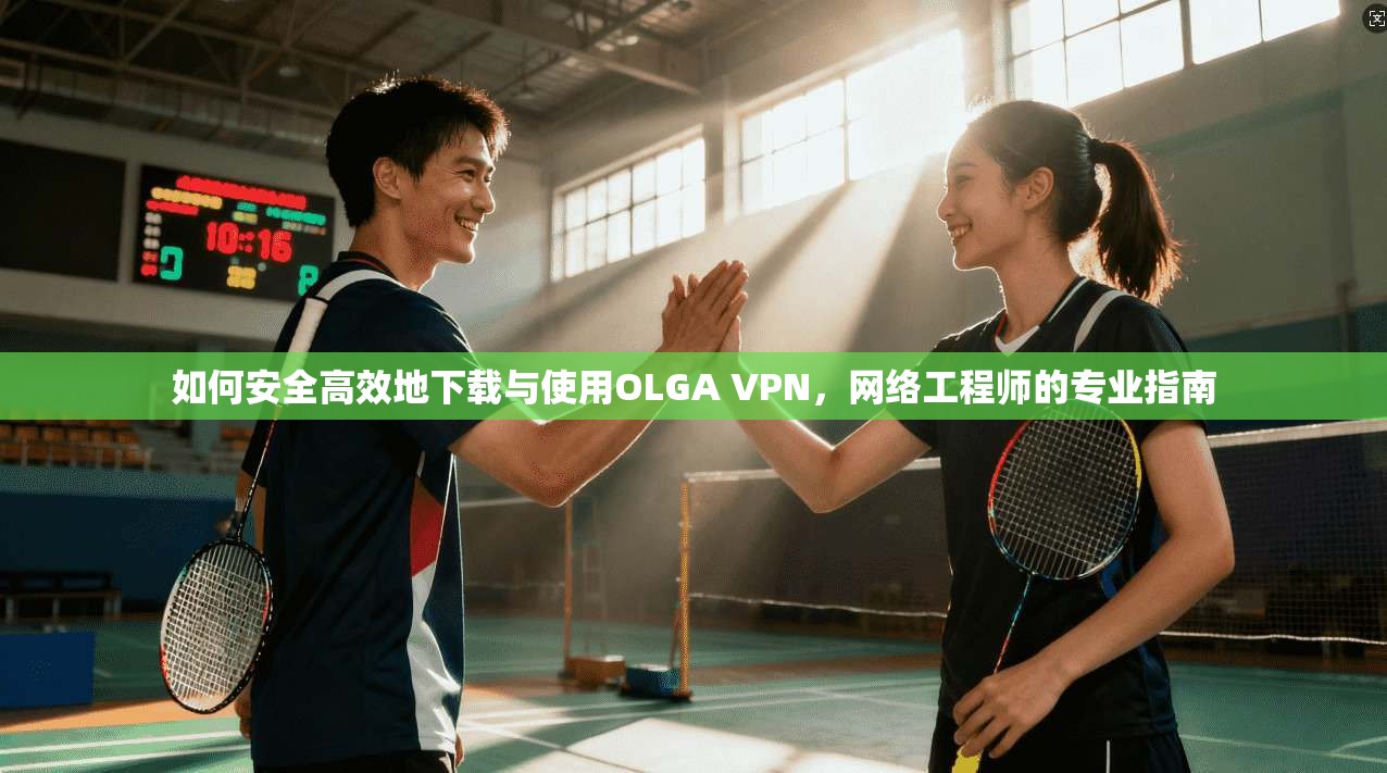 如何安全高效地下载与使用OLGA VPN，网络工程师的专业指南