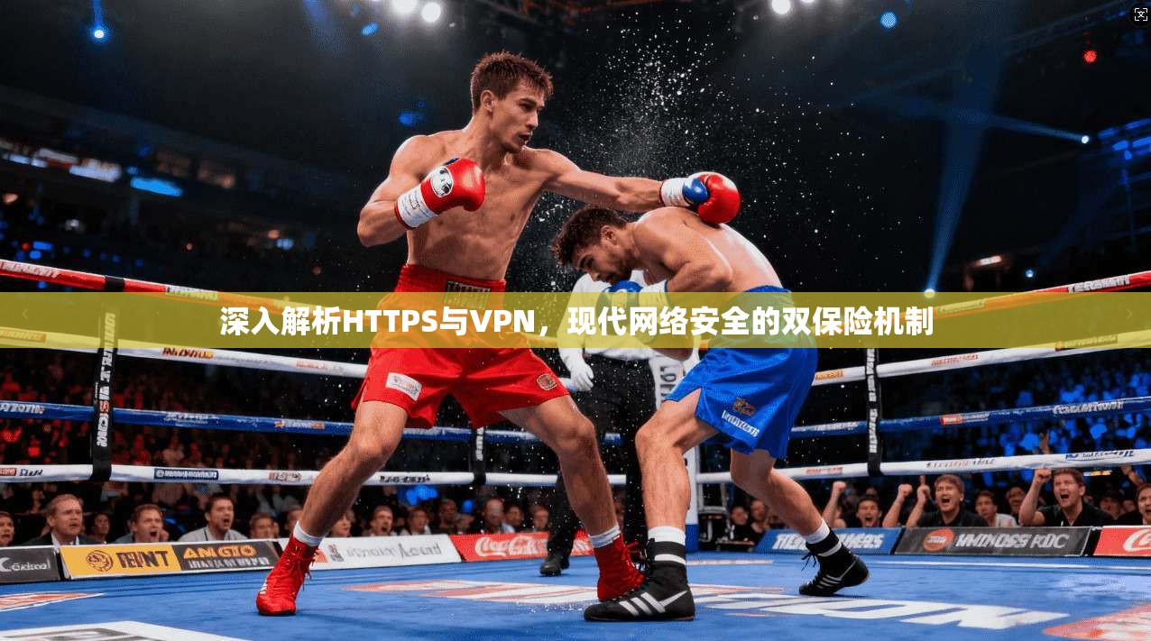 深入解析HTTPS与VPN，现代网络安全的双保险机制