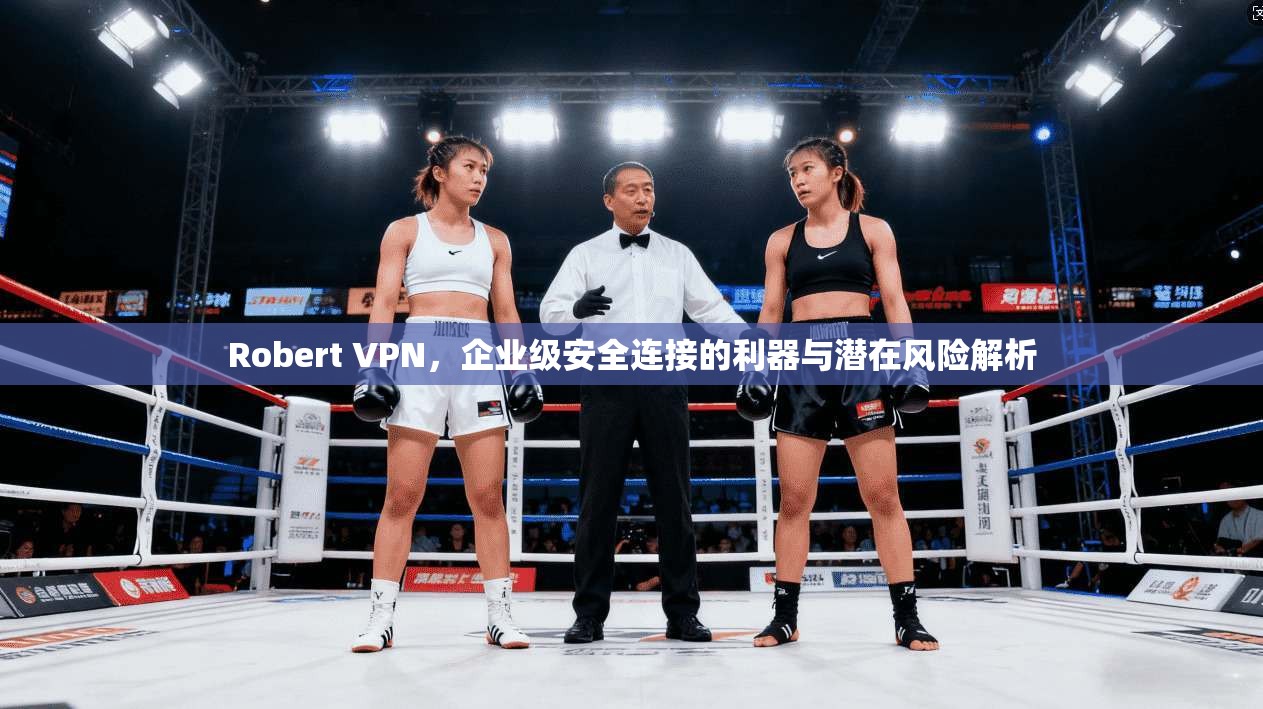 Robert VPN，企业级安全连接的利器与潜在风险解析
