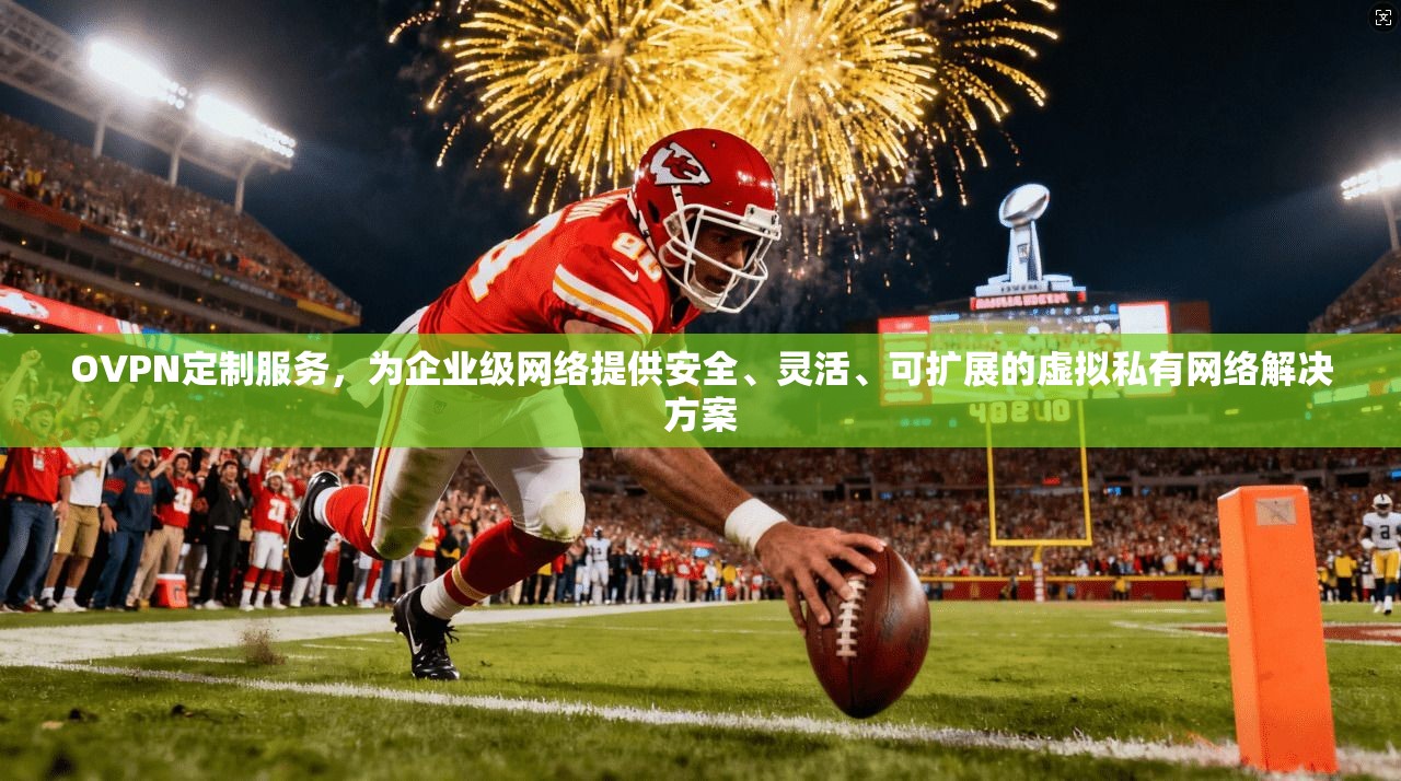 OVPN定制服务，为企业级网络提供安全、灵活、可扩展的虚拟私有网络解决方案