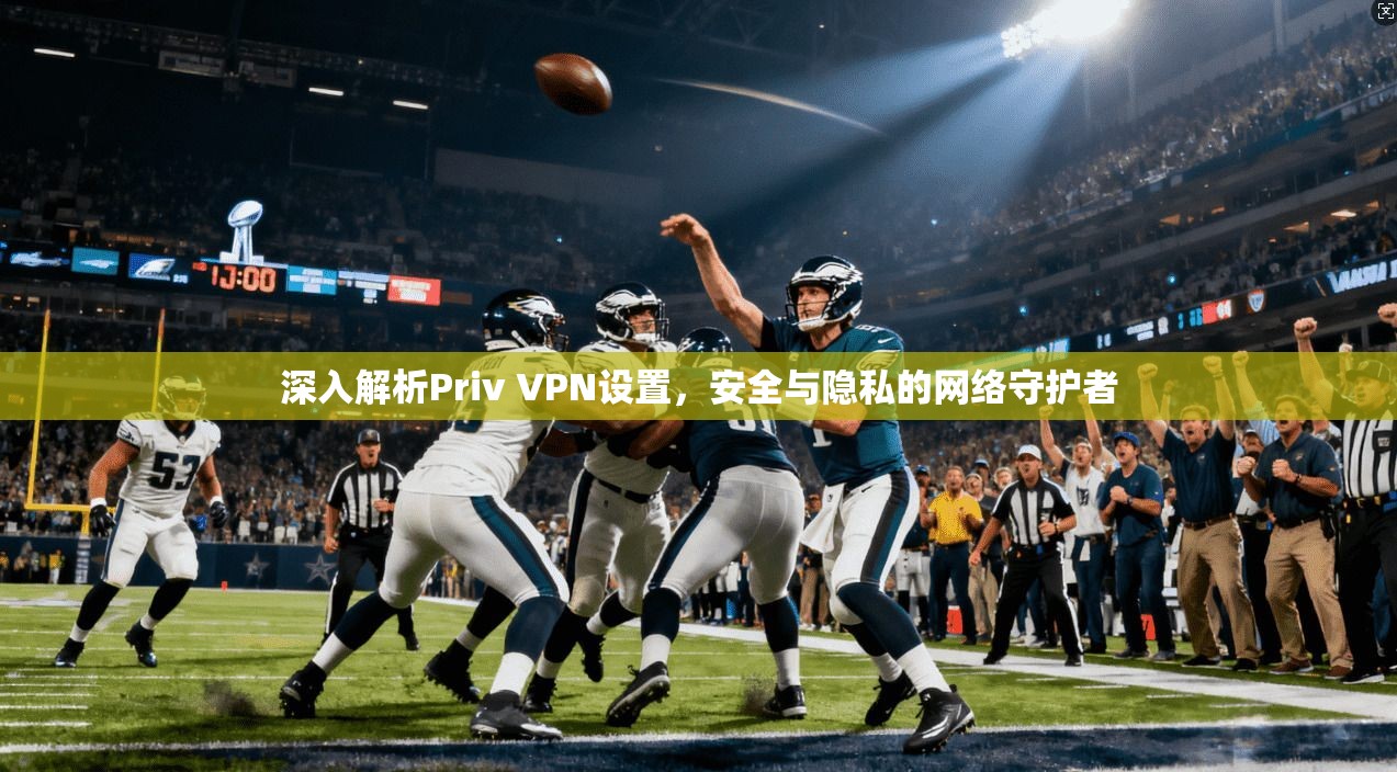 深入解析Priv VPN设置，安全与隐私的网络守护者