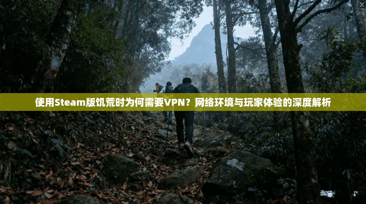 使用Steam版饥荒时为何需要VPN?网络环境与玩家体验的深度解析 使用Steam版饥荒时为何需要VPN?网络环境与玩家体验的深度解析