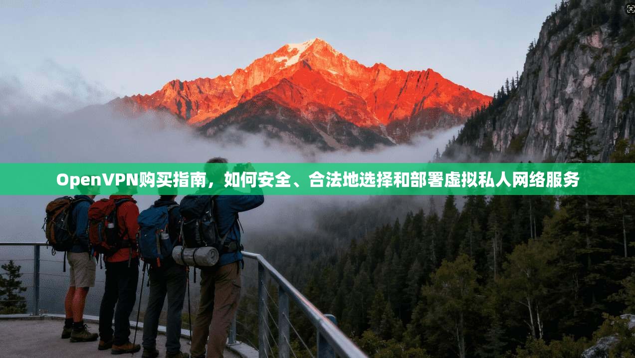OpenVPN购买指南，如何安全、合法地选择和部署虚拟私人网络服务