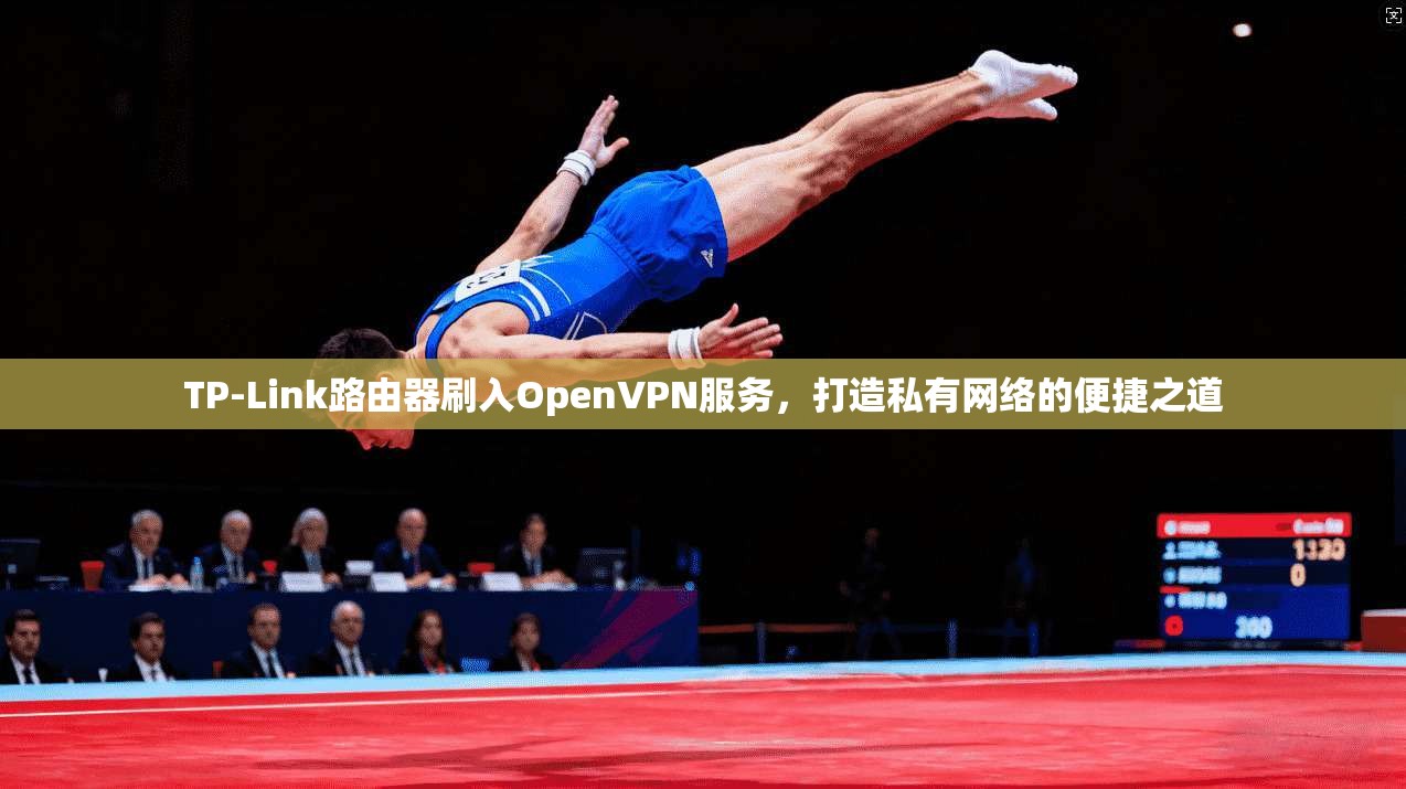 TP-Link路由器刷入OpenVPN服务，打造私有网络的便捷之道