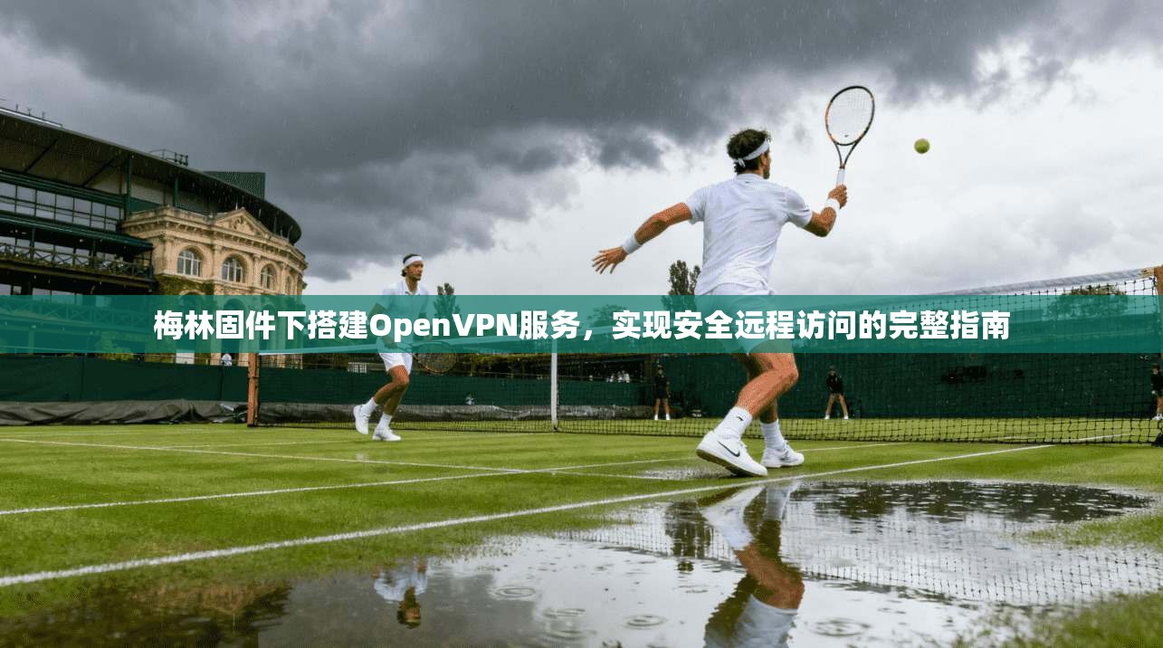 梅林固件下搭建OpenVPN服务，实现安全远程访问的完整指南
