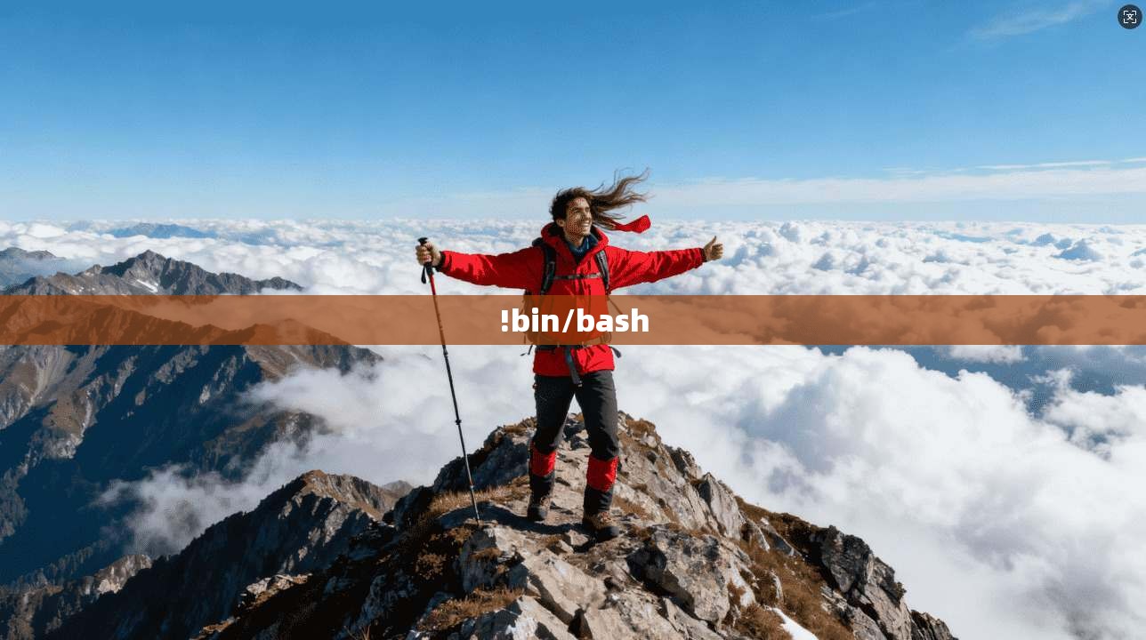 !bin/bash