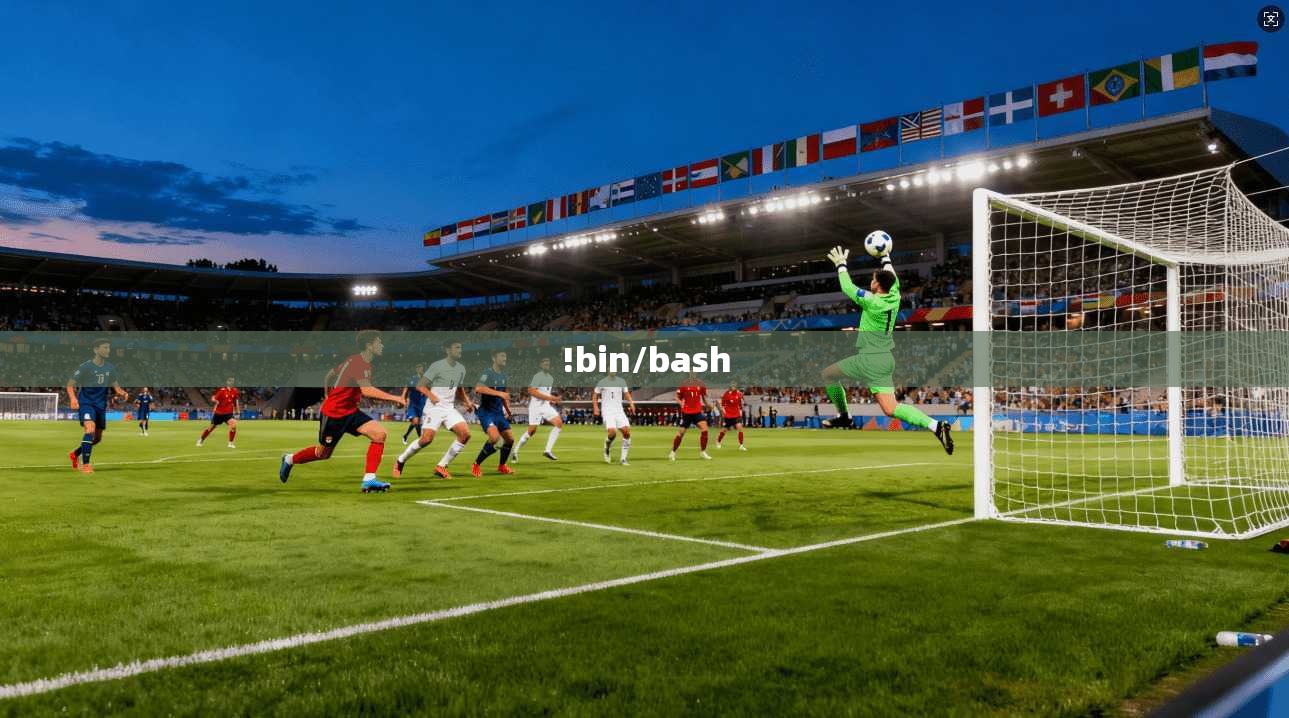 !bin/bash