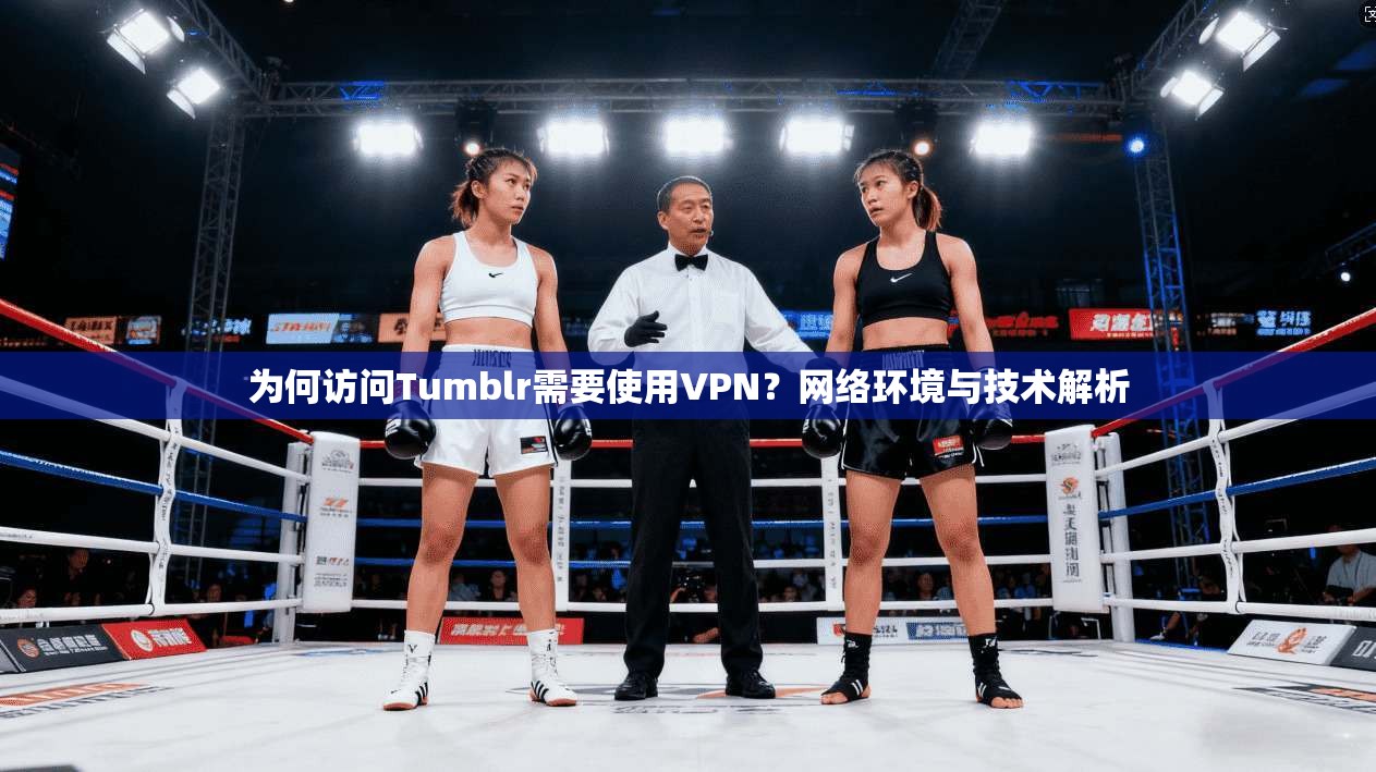 为何访问Tumblr需要使用VPN？网络环境与技术解析