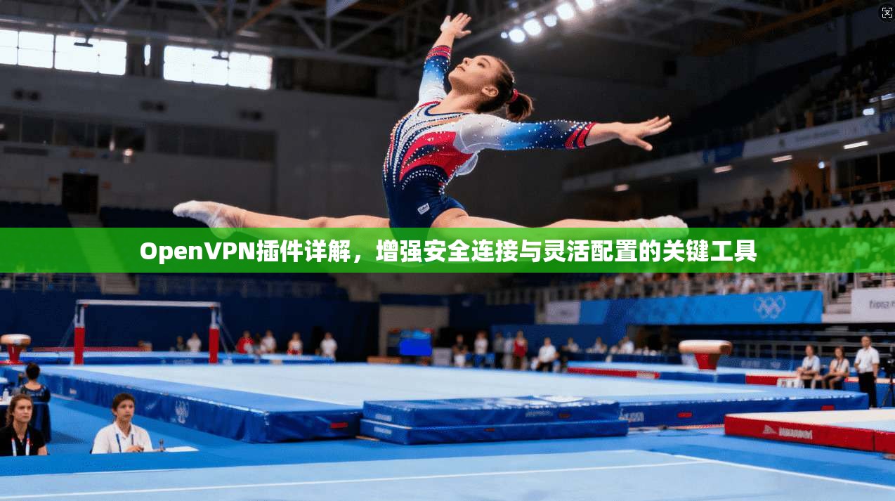 OpenVPN插件详解,增强安全连接与灵活配置的关键工具 OpenVPN插件详解,增强安全连接与灵活配置的关键工具