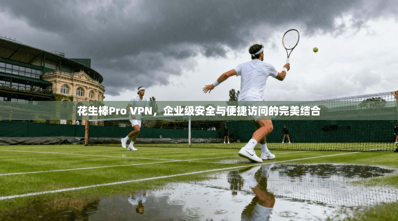 花生棒Pro VPN,企业级安全与便捷访问的完美结合 花生棒Pro VPN,企业级安全与便捷访问的完美结合