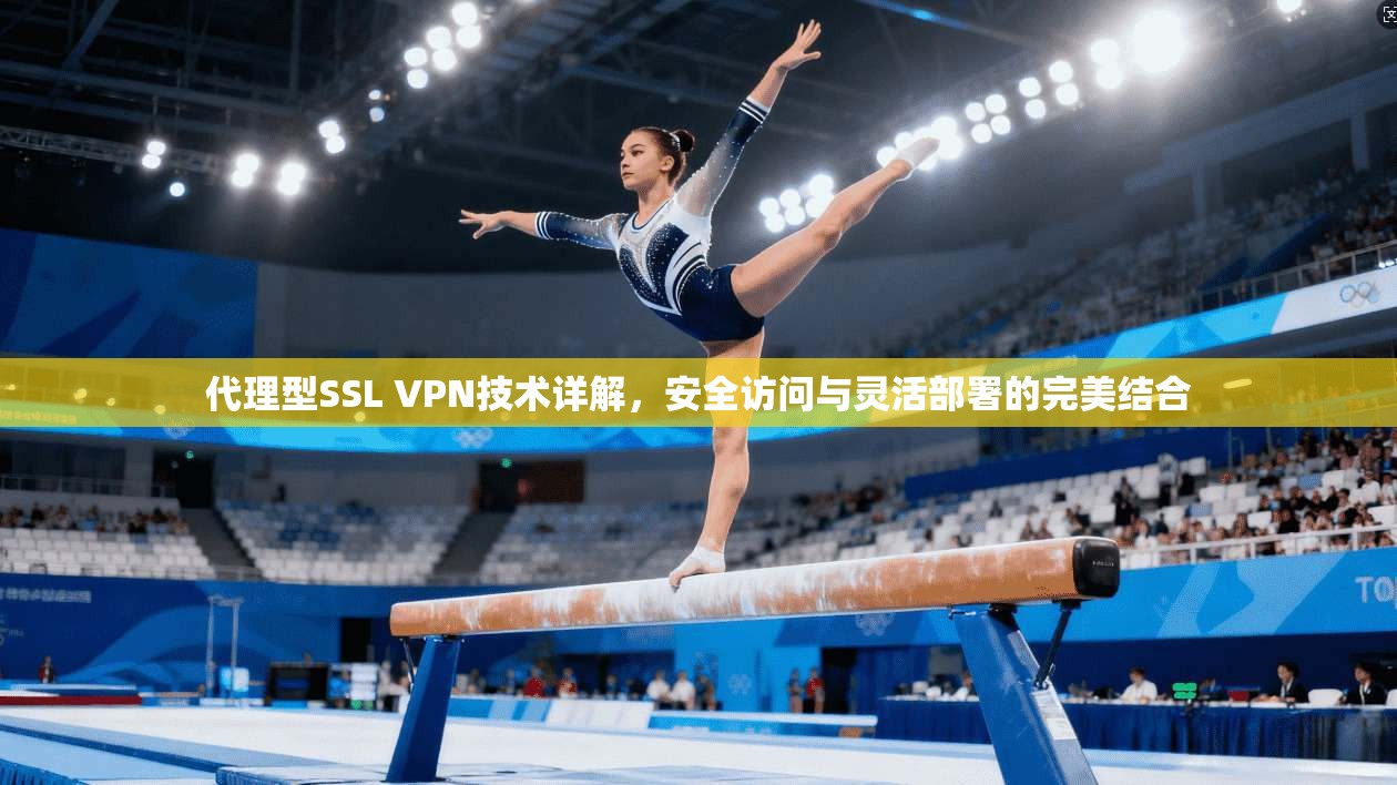 代理型SSL VPN技术详解，安全访问与灵活部署的完美结合