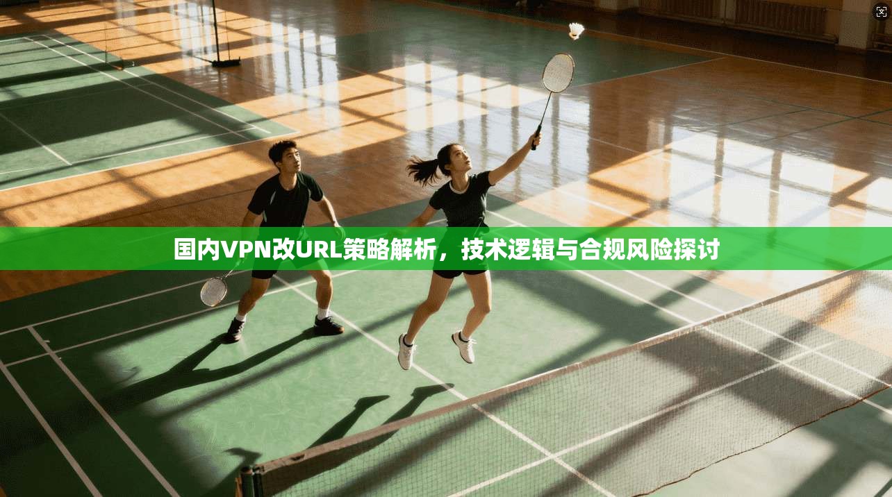 国内VPN改URL策略解析,技术逻辑与合规风险探讨 国内VPN改URL策略解析,技术逻辑与合规风险探讨