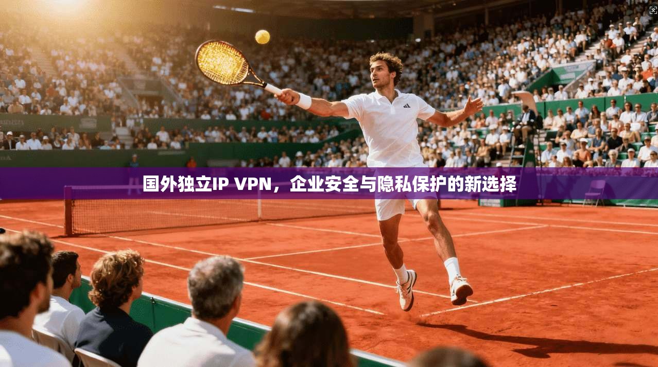 国外独立IP VPN,企业安全与隐私保护的新选择 国外独立IP VPN,企业安全与隐私保护的新选择