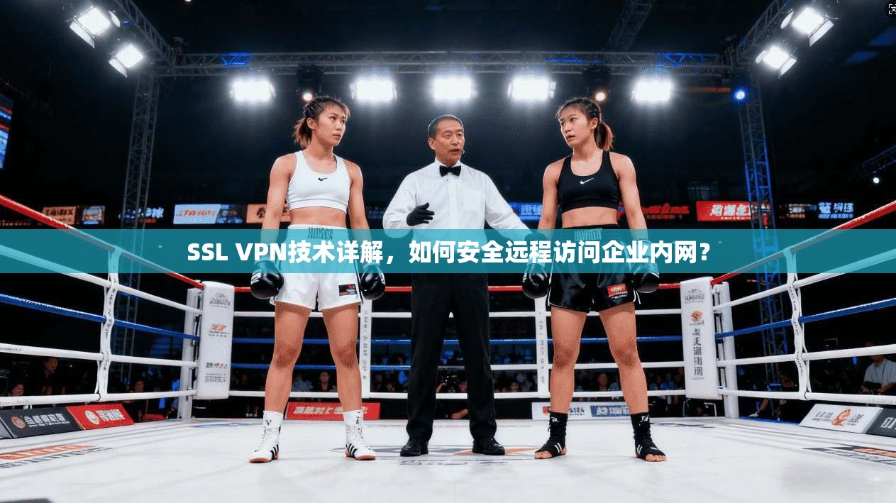 SSL VPN技术详解，如何安全远程访问企业内网？