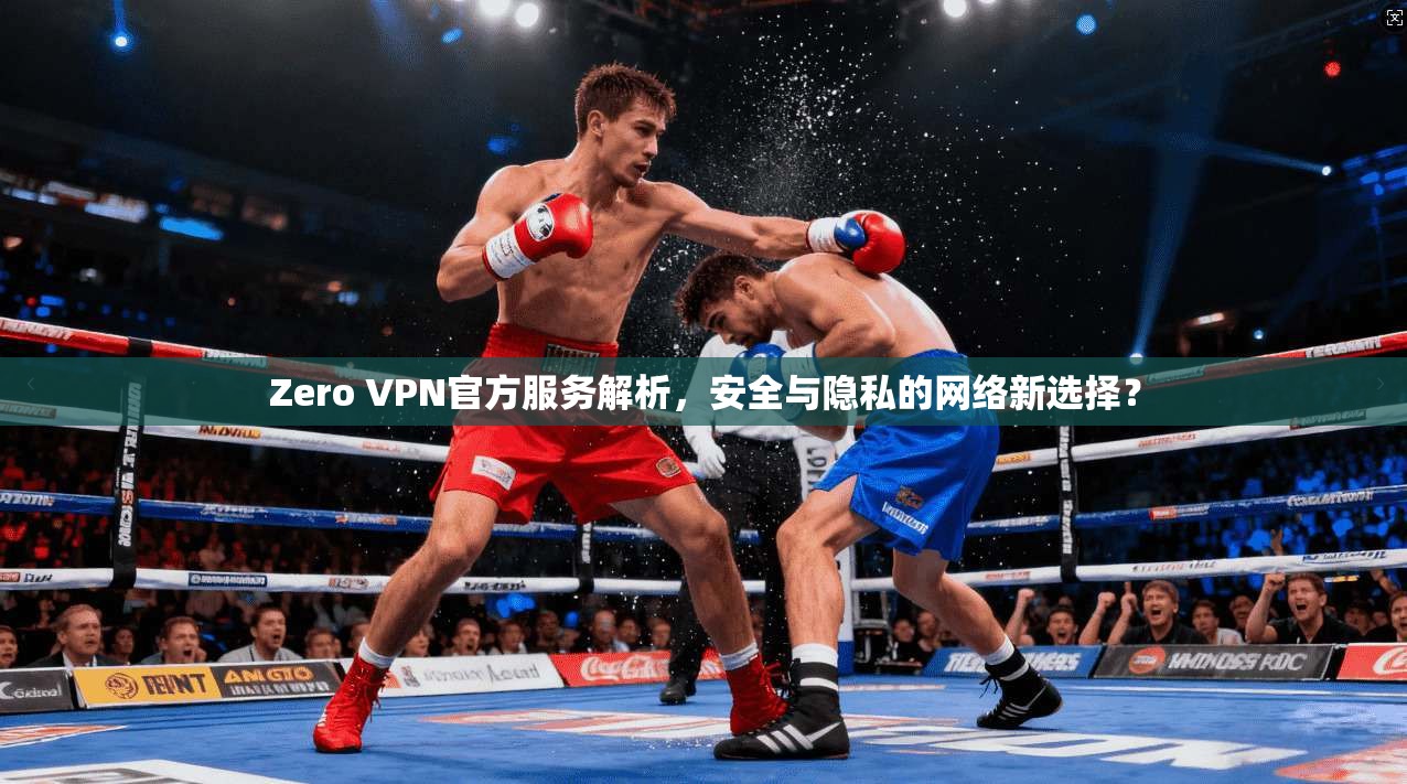 Zero VPN官方服务解析，安全与隐私的网络新选择？