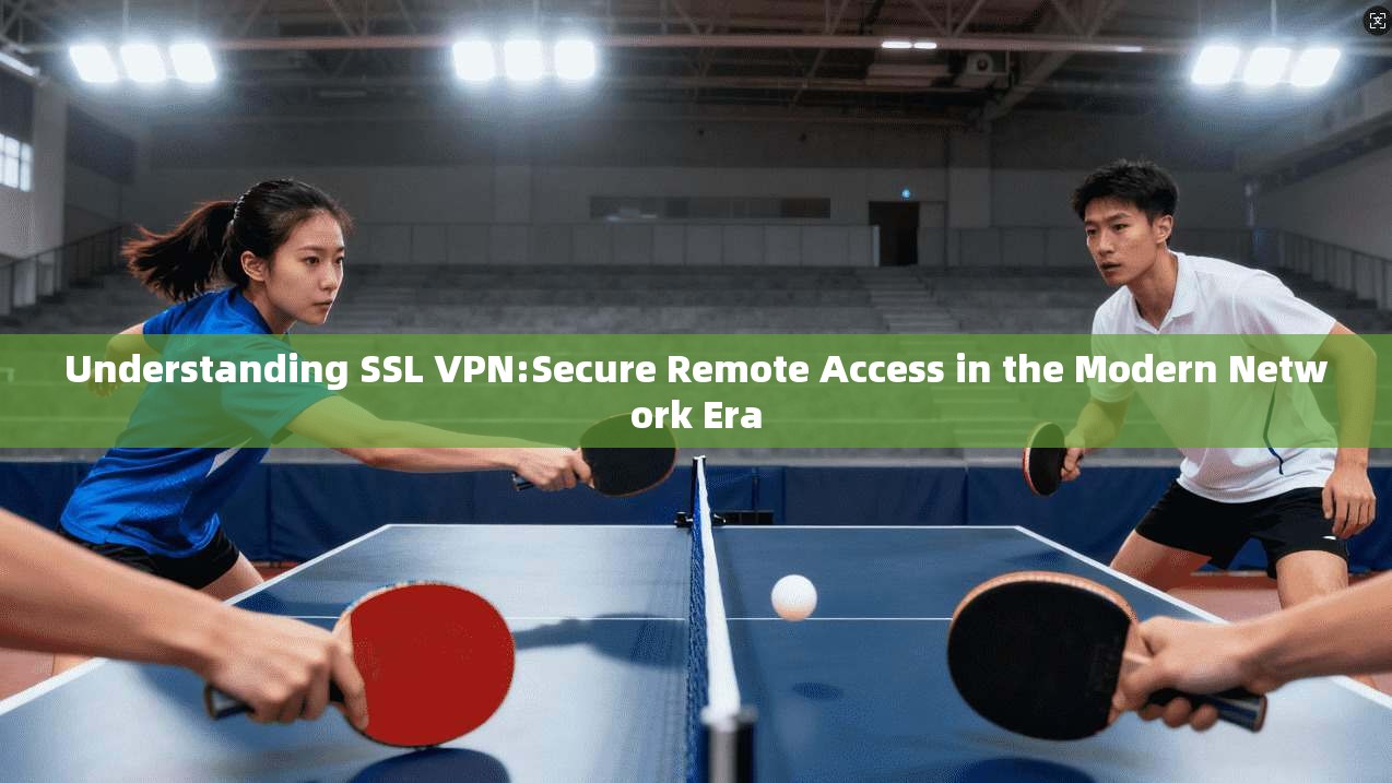 Understanding SSL VPN:Secure Remote Access in the Modern Network Era