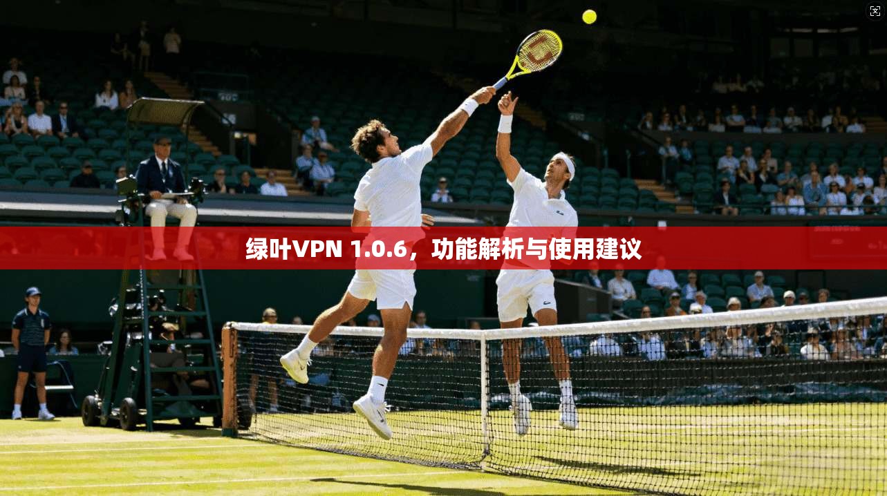 绿叶VPN 1.0.6，功能解析与使用建议