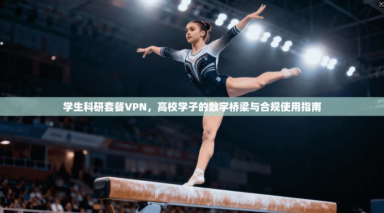 学生科研套餐VPN，高校学子的数字桥梁与合规使用指南