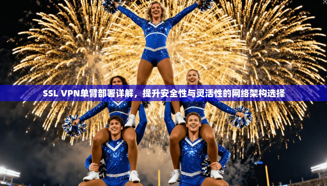 SSL VPN单臂部署详解,提升安全性与灵活性的网络架构选择 SSL VPN单臂部署详解,提升安全性与灵活性的网络架构选择