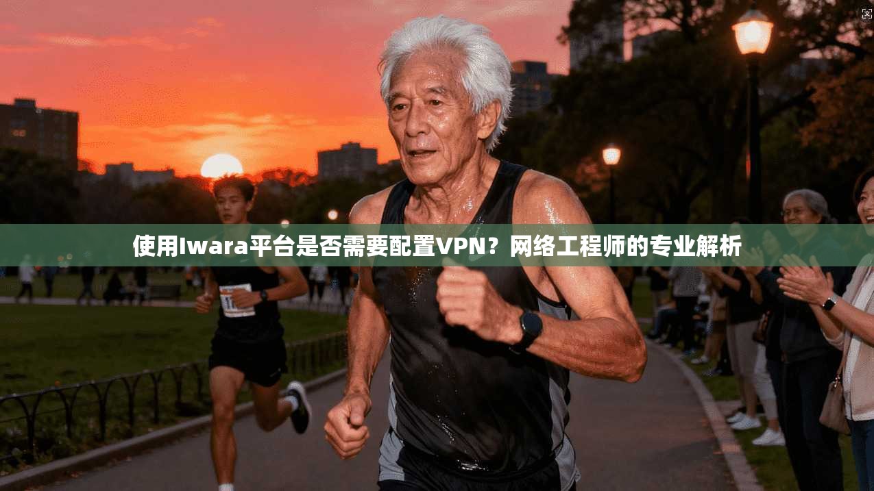 使用Iwara平台是否需要配置VPN？网络工程师的专业解析