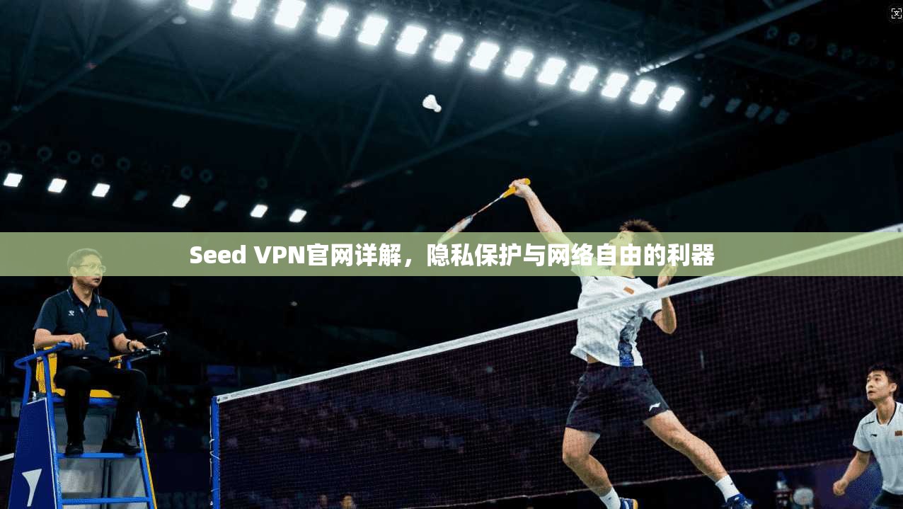 Seed VPN官网详解，隐私保护与网络自由的利器